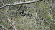 DSCF0074.jpg (733307 バイト)