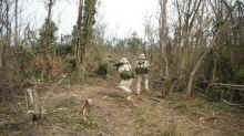 DSCF0104.jpg (813342 バイト)
