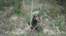 DSCF0109.jpg (819581 バイト)