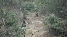 DSCF0113.jpg (860345 バイト)