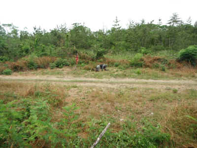 DSCF0341.jpg (1441364 バイト)