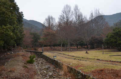 DSC_3265.jpg (331691 バイト)