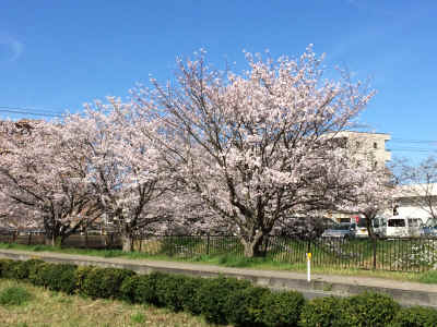 IMG_2477.JPG (2831821 バイト)