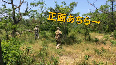 Img_2748_complus.jpg (395463 バイト)