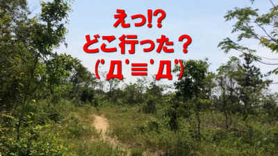 3rd_game-15.JPG (287400 バイト)