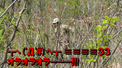 P1030667_trim_edit.png (6185655 バイト)