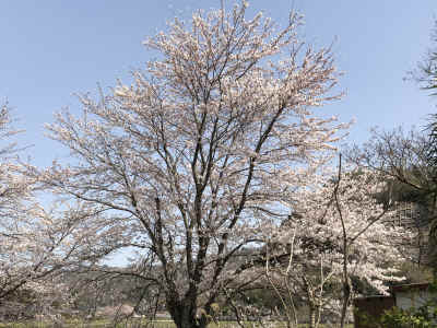 img_5269.jpg (4721420 バイト)