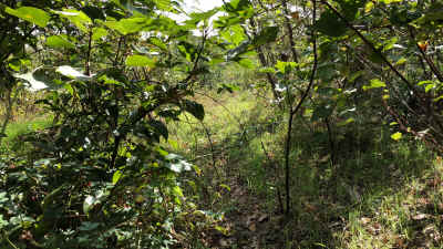 img_6264.jpg (3897945 バイト)