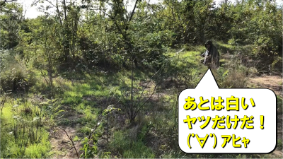 IMG_6310-22_edit.png (5067968 バイト)