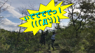 IMG_6310-35_edit.png (3557270 バイト)