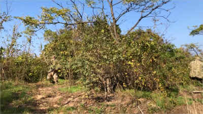 01-60.jpg (587519 バイト)